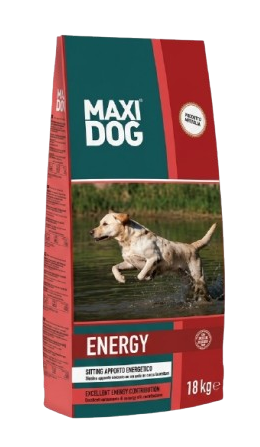 MAXI DOG ENERGY